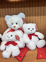 Valentine's Bears