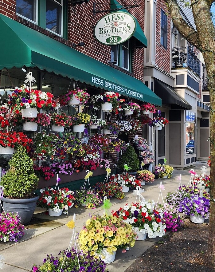 12" Hanging Combo Blooming Basket *Available after May 2nd**