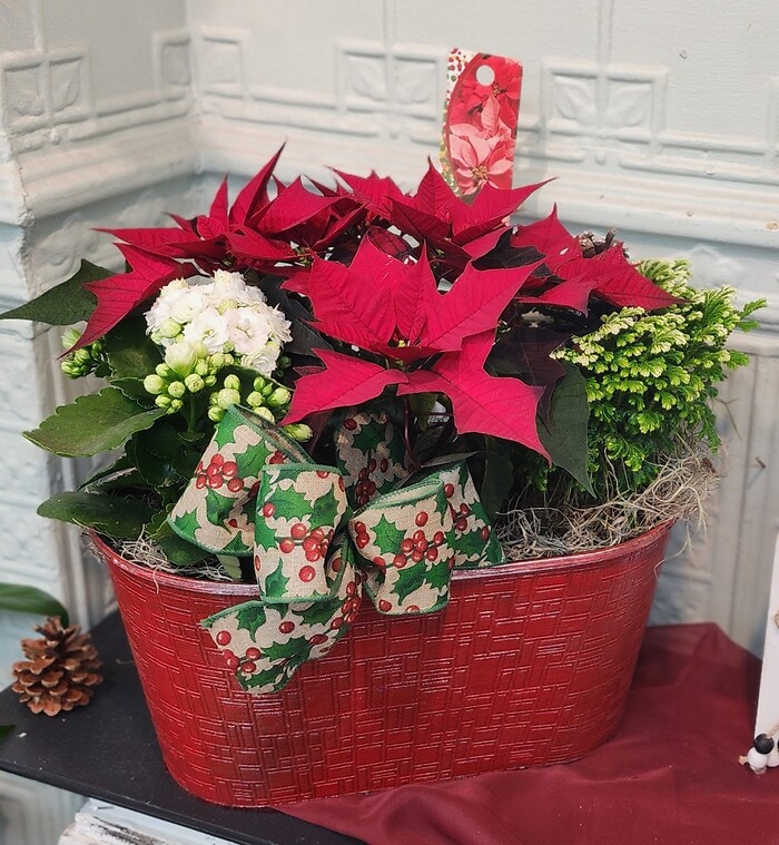 Christmas Garden **ON SALE**