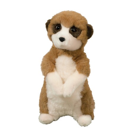 Douglas - Enzo Meerkat