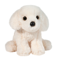 Douglas - Snowie White Retriever