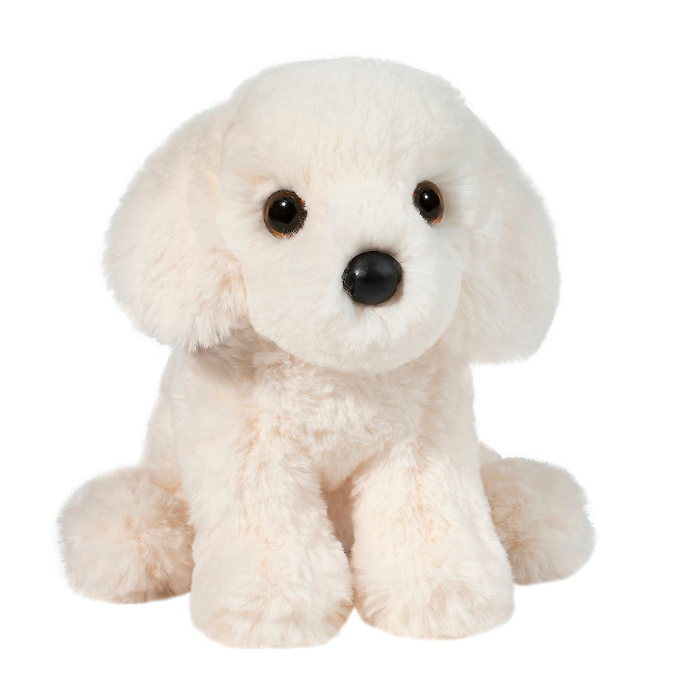 Douglas - Snowie White Retriever