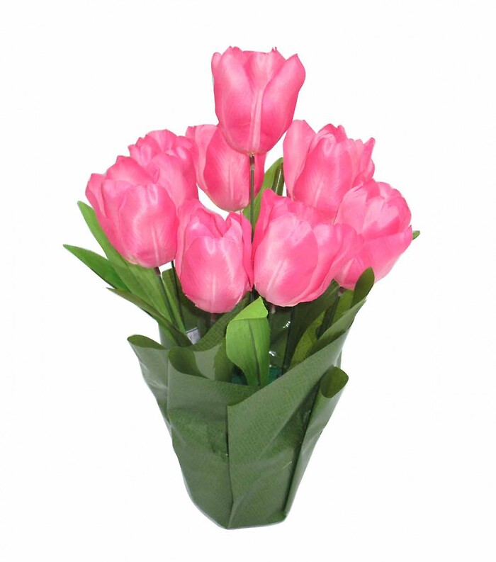 Potted Tulips