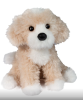 Douglas - Darcy Golden Doodle