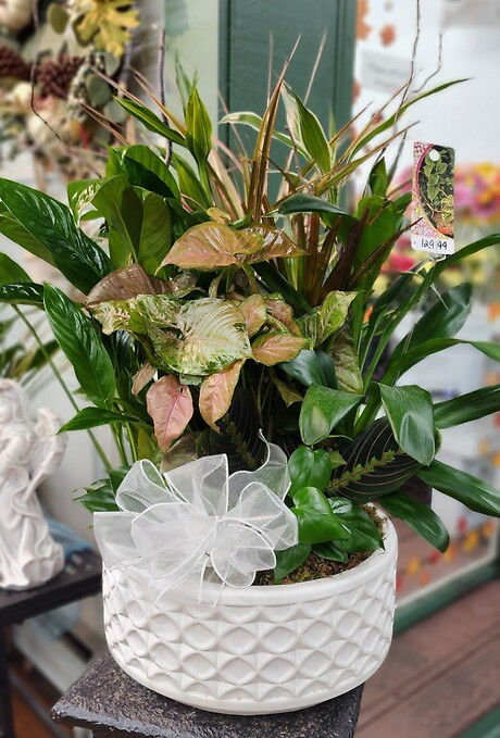Ceramic Garden Planter Large