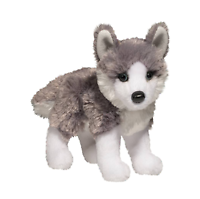 Douglas - Nikita Husky