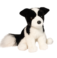 Douglas - Herdie Boarder Collie