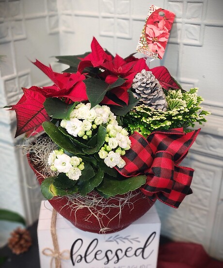 Christmas Garden **ON SALE**