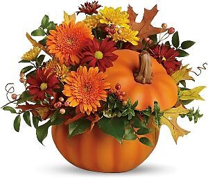 Somethin&#039; Pumpkin