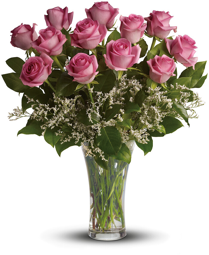 Make Me Blush -12 Long Stemmed Pink Roses