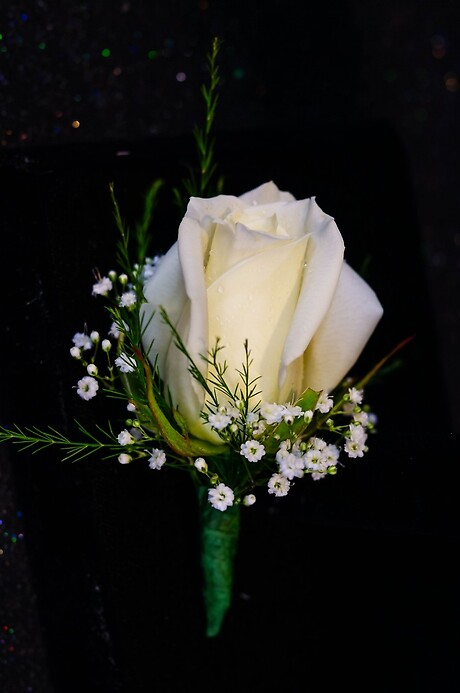 Rose Boutonniere with Baby&#039;s Breath