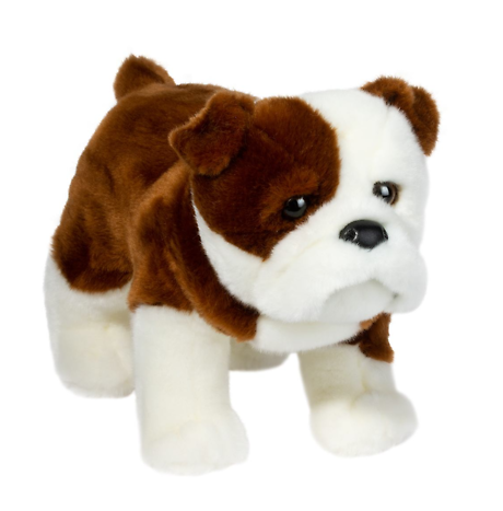 Douglas - Bulldog Hardy