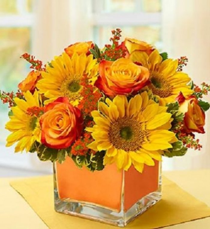Bright and Sunny Sunflowers