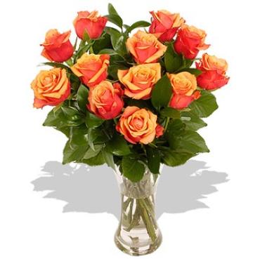 A Dozen Orange Roses