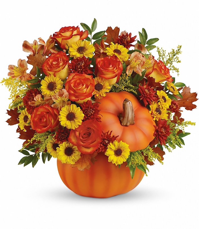 Warm Fall Wishes