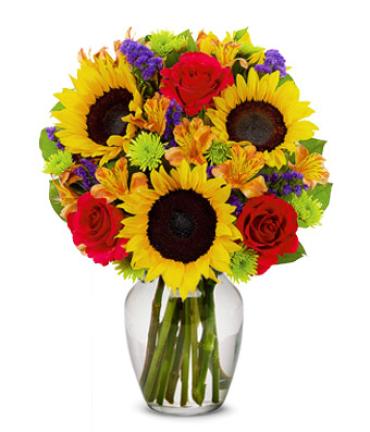 Bold and Beautiful Sunflowers