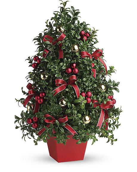 Deck the Halls Boxwood Tree  **ON SALE**