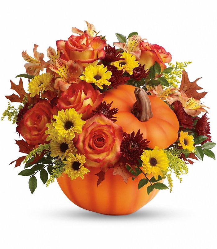 Warm Fall Wishes
