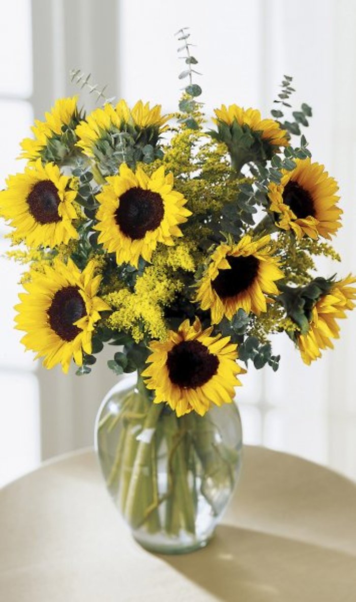 Just Sunflowers