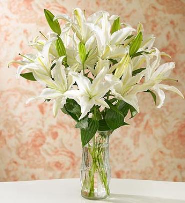 White Stargazer Lilies for Sympathy