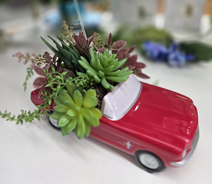 Succulent Cruiser