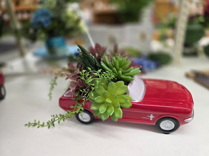 Succulent Cruiser