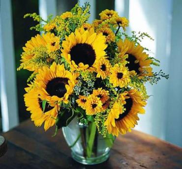 Bountiful Sunflowers