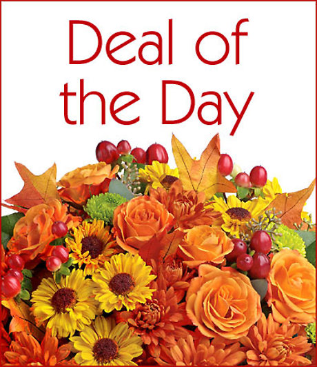 Deal Of The Day
