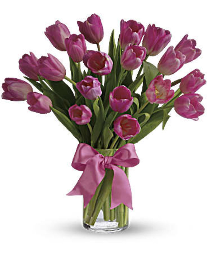 Precious Pink Tulips
