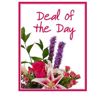 Deal of the Day -  Valentine\'s Day