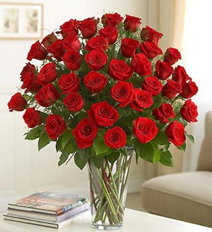 4 Dozen Premium Long Stem Roses