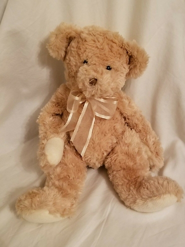 Golden Tender Teddy