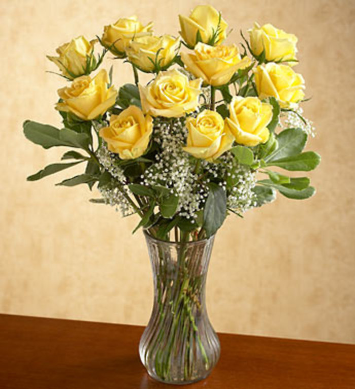 One Dozen Yellow Roses