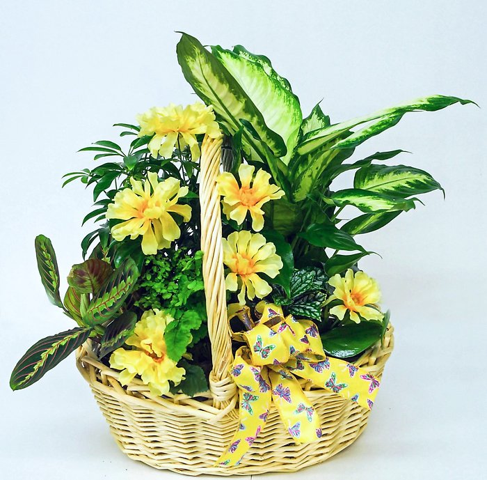 Green Garden Planter Basket