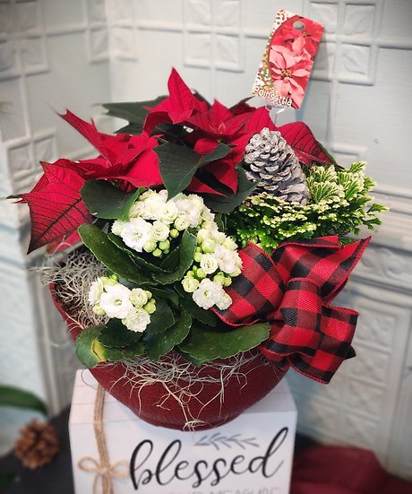 Christmas Garden **ON SALE**
