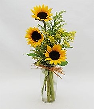 Delicate Sunflower