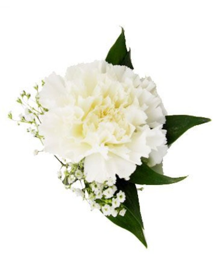 Carnation Boutonniere
