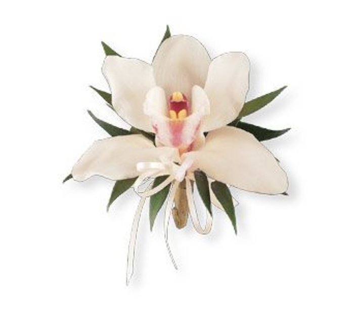 Cymbidium Orchid Corsage