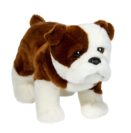 Douglas - Bulldog Hardy